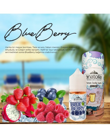 Blue Berry ( SALT LİKİT )